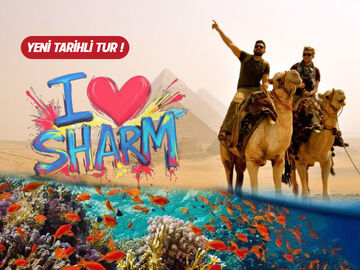 Sharm El Sheikh ve Kahire Turu