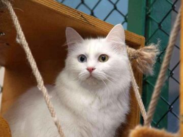 Büyük Doğu Anadolu Turu