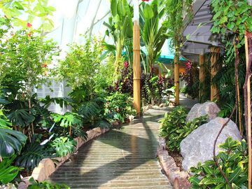 Konya Lale Bahçeleri Turu (H.Sonu)