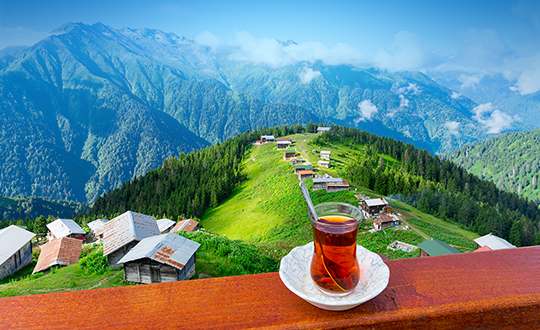 Doğu Karadeniz & Batum Turları