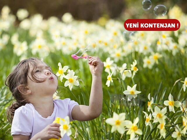 8. Karaburun Nergis Festivali Turu