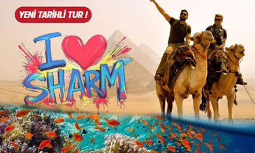 Sharm El Sheikh ve Kahire Turu