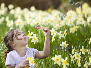 8. Karaburun Nergis Festivali Turu