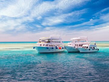 Sharm El Sheikh ve Kahire Turu