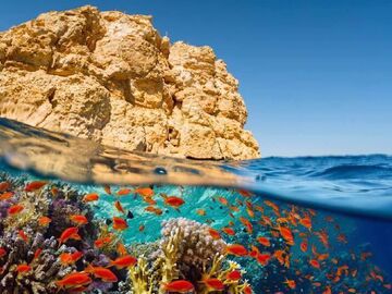 Sharm El Sheikh ve Kahire Turu