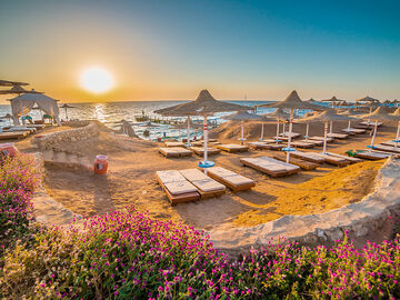 Sharm El Sheikh ve Kahire Turu