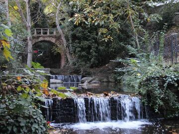 27. Bayındır Çiçek Festivali Turu