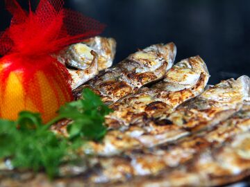 Batı Karadeniz Yeni Rota